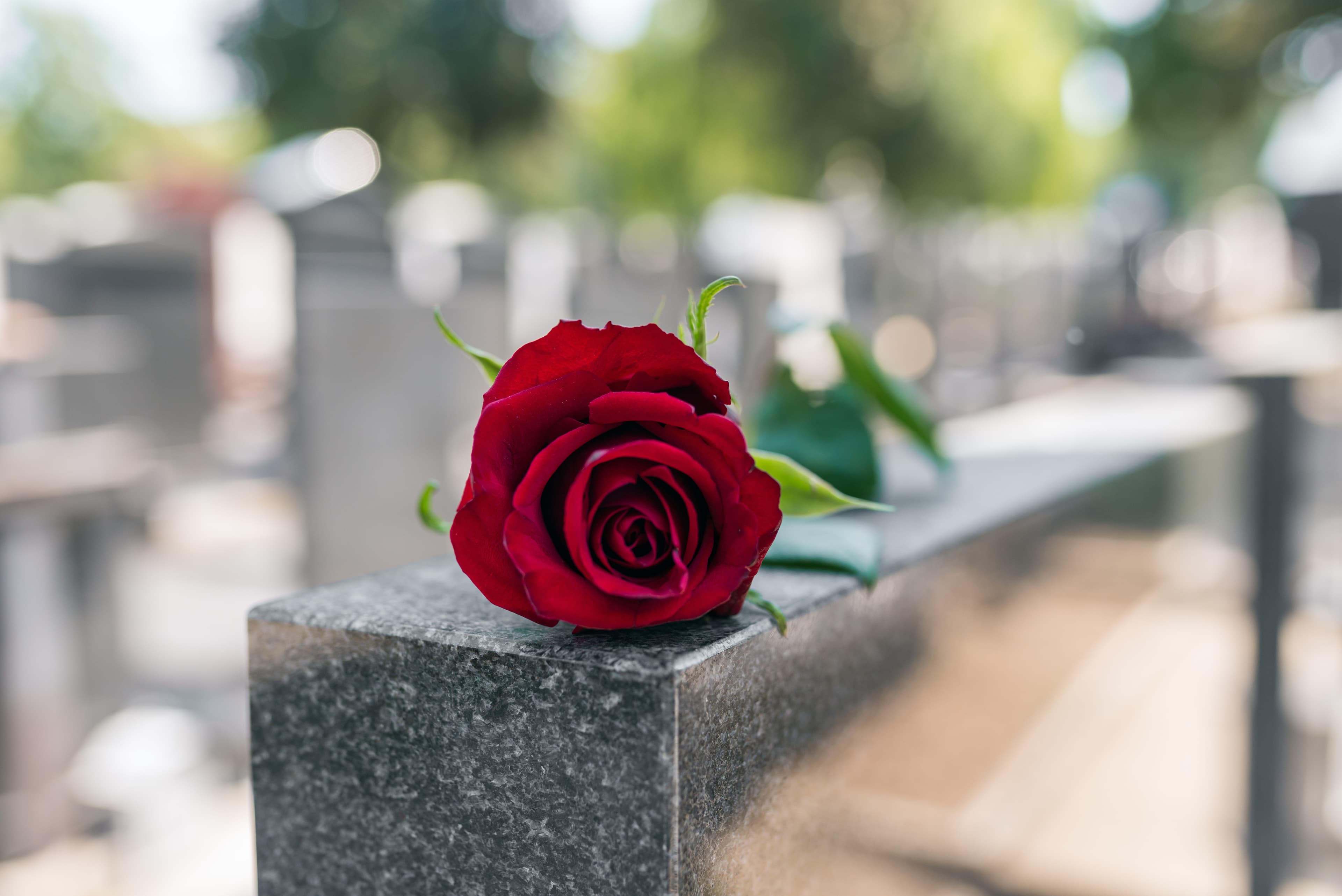 Accidental Death at 39: Here’s What You Need to Know